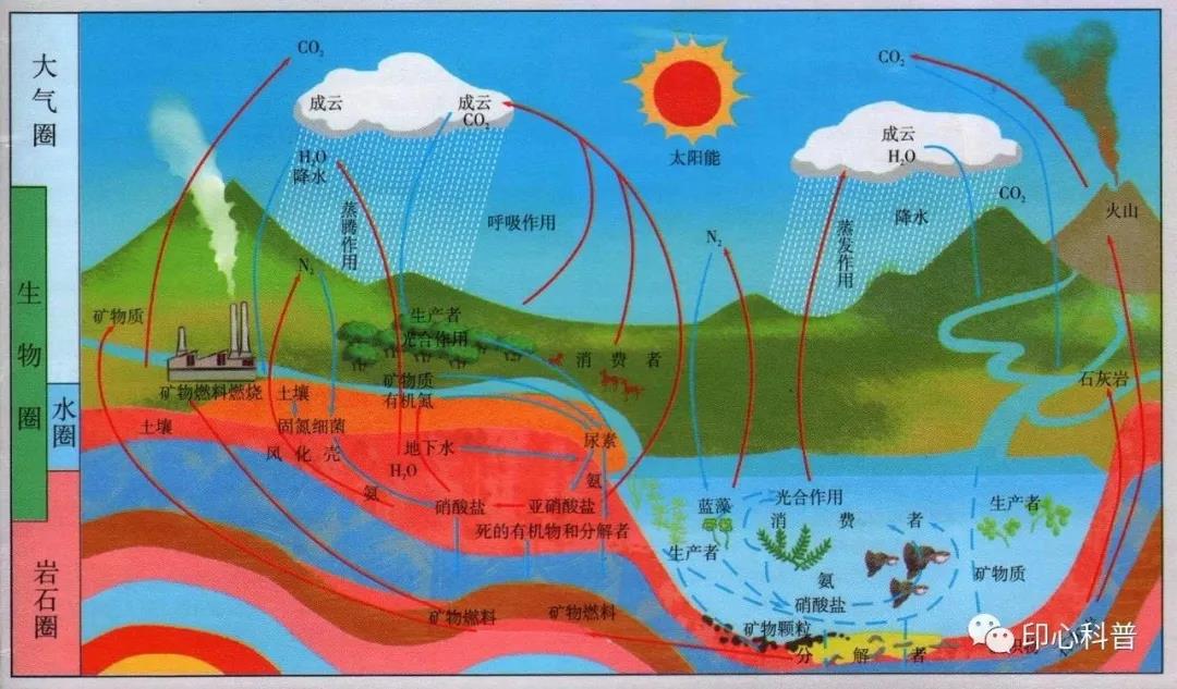 自然教育||地球上最大的生命系统——生物圈