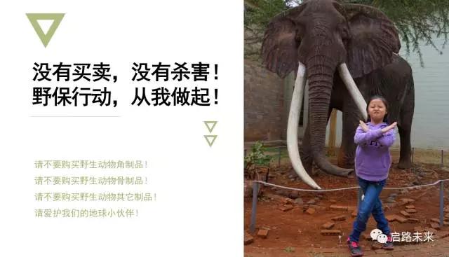 微信图片_20170621161703.jpg