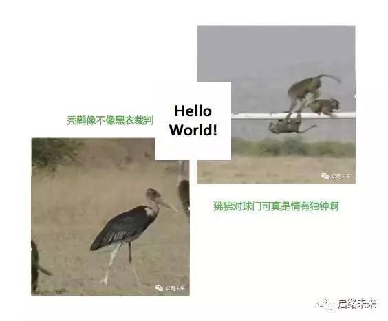 微信图片_20170621172507.jpg