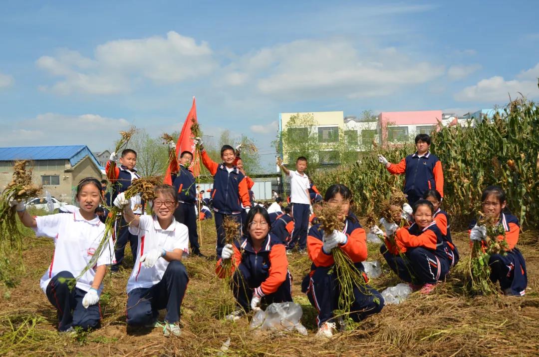 “庄稼地里赶大集”“农耕文化丰收节”这些学校让劳动教育真实有效发生